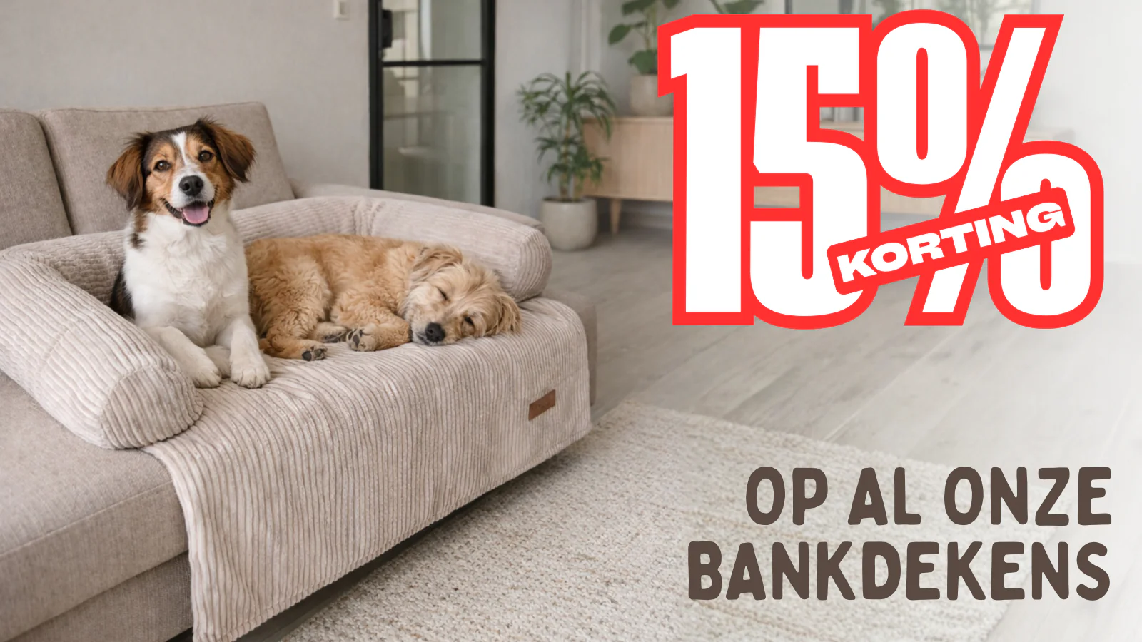 Ultiem Comfort voor Jouw Huisdier